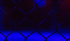 Catterall vs. Prograis: A Crucial Step Toward Boxing Supremacy